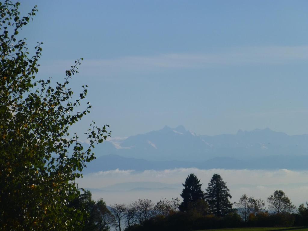 Bio- Und Wellnesshotel Alpenblick Höchenschwand Eksteriør bilde